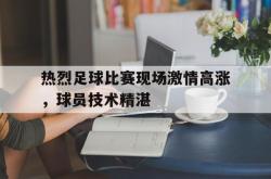 乐动体育下载-热烈足球比赛现场激情高涨，球员技术精湛