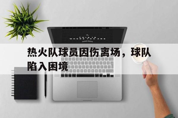 热火队球员因伤离场，球队陷入困境